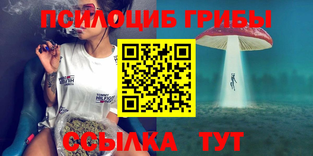 Галлюциногенные грибы прущие грибы Приморско-Ахтарск