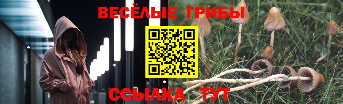 Псилоцибиновые грибы Cubensis  Галлюциногенные грибы Magic Shrooms  Приморско-Ахтарск  Вход с VPN 